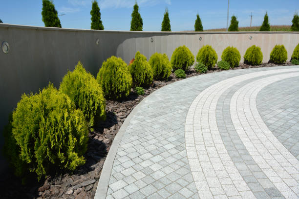 Best Professional Driveway Pavers  in Rockwood, VA
